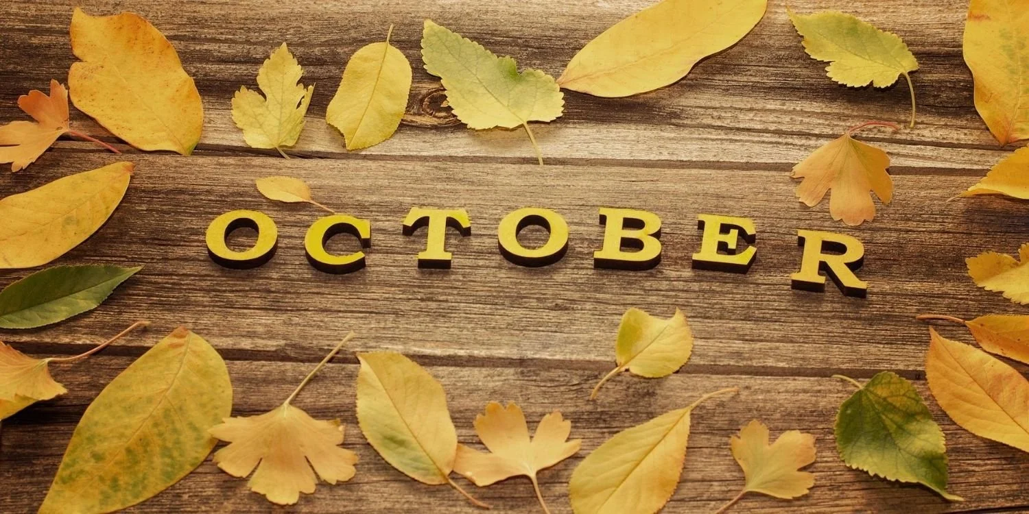 October 2023 Newsletter