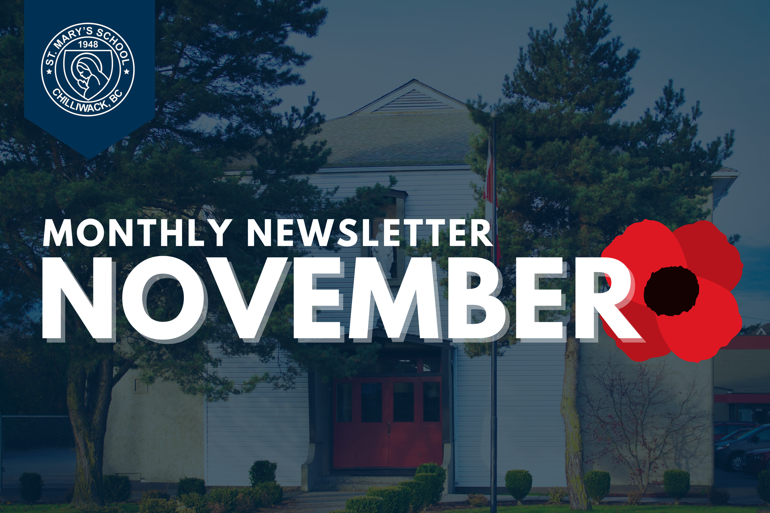 November 2024 Newsletter