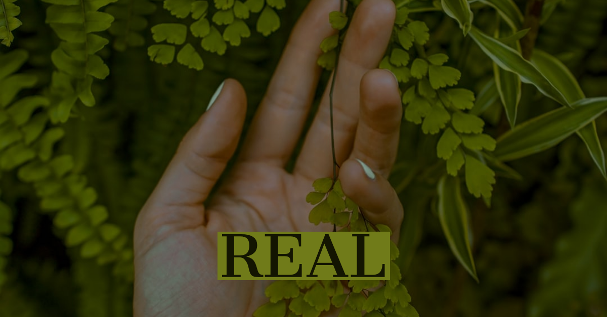 Adobe_Post_20190806_090050.png