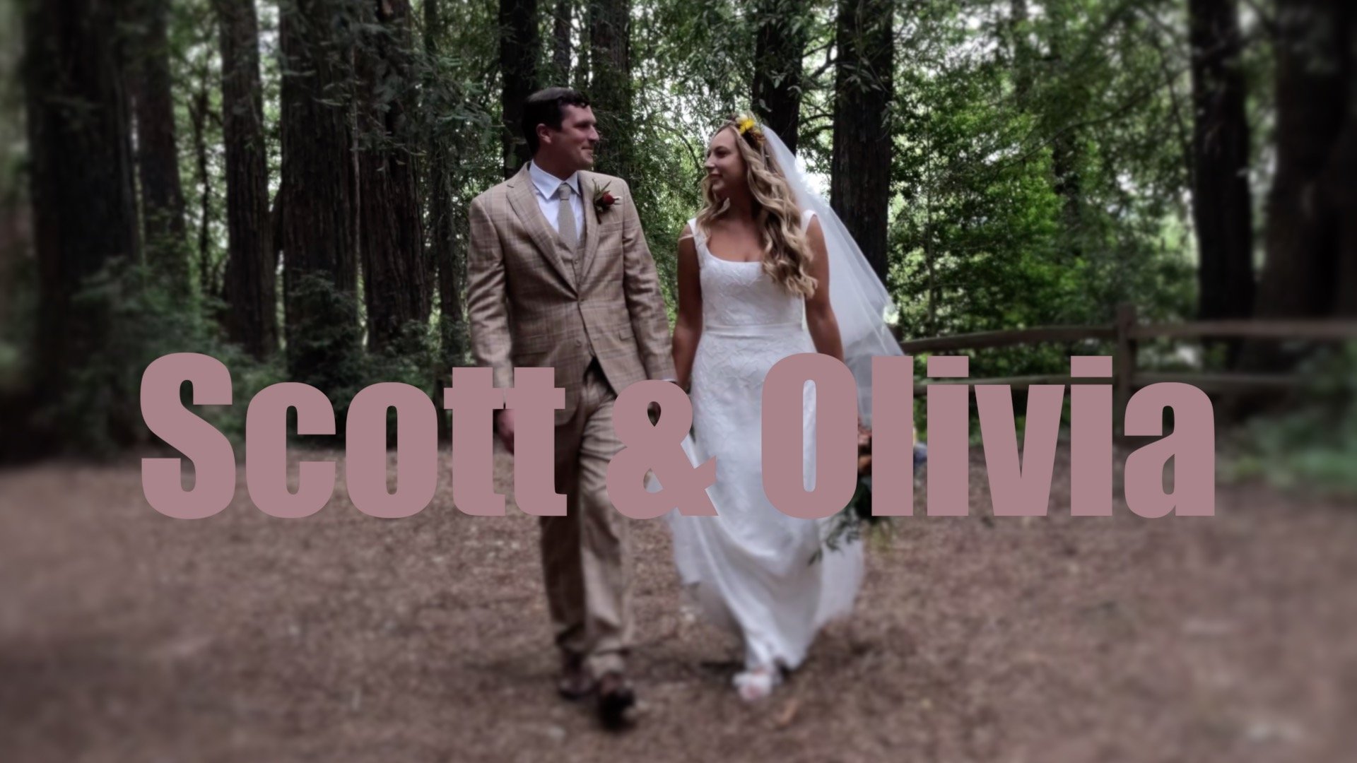  The Wedding Film of Scott and Olivia filmed at the  Pellegrini Wine Company  in Santa Rosa, CA. 
