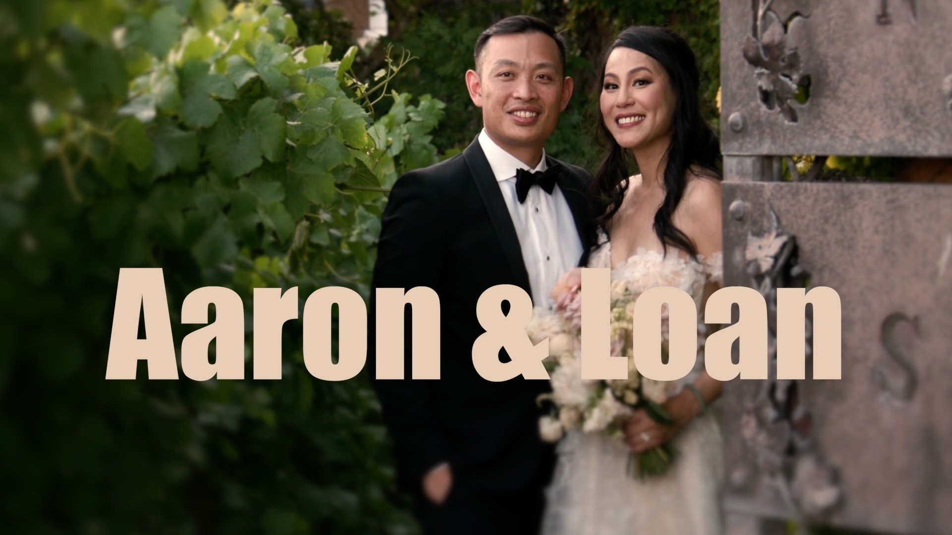 The Wedding Film of Aaron &amp; Loan filmed at  the   Viansa Winery  in the Sonoma Valley CA. 