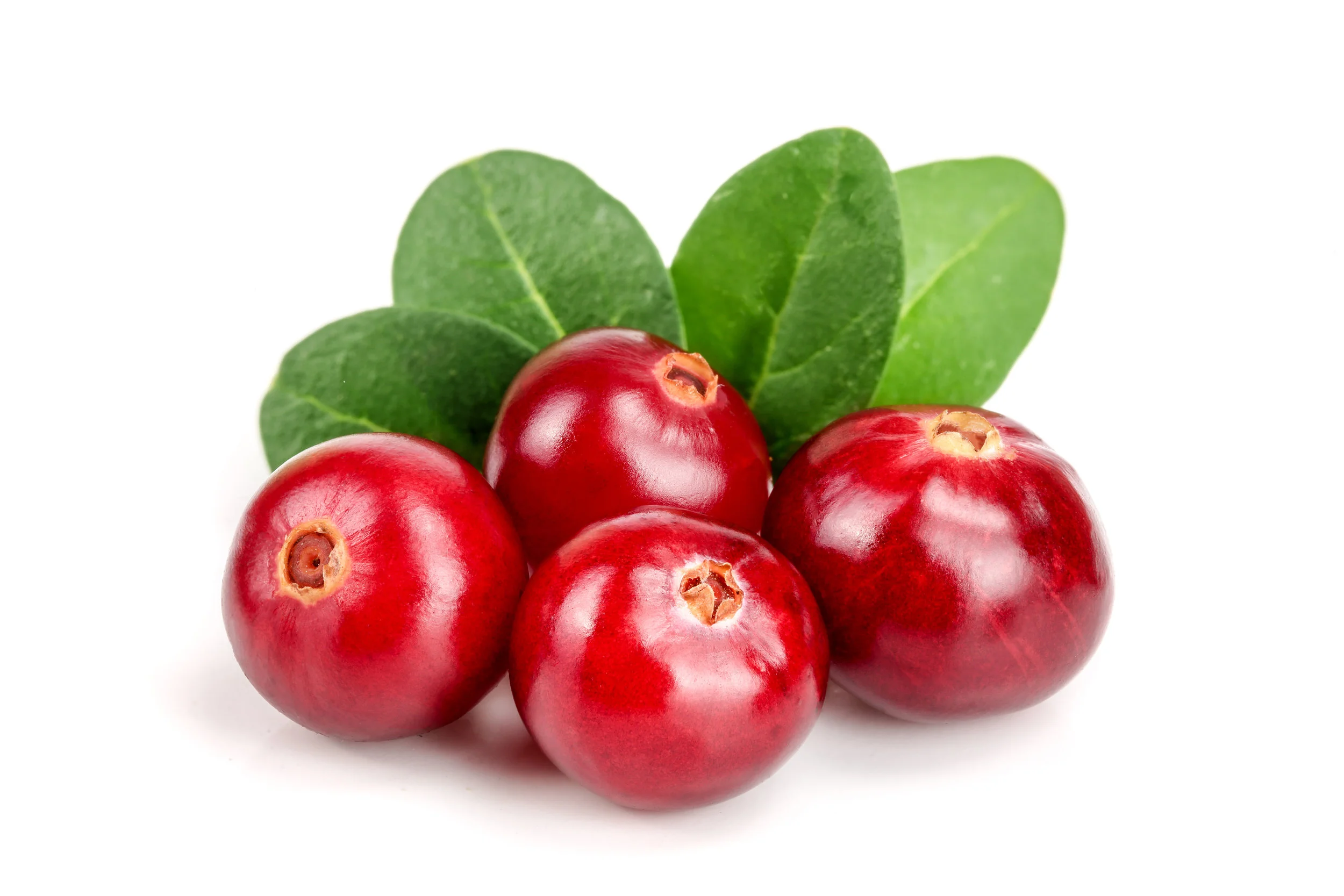 AdobeStock_187289763.jpeg