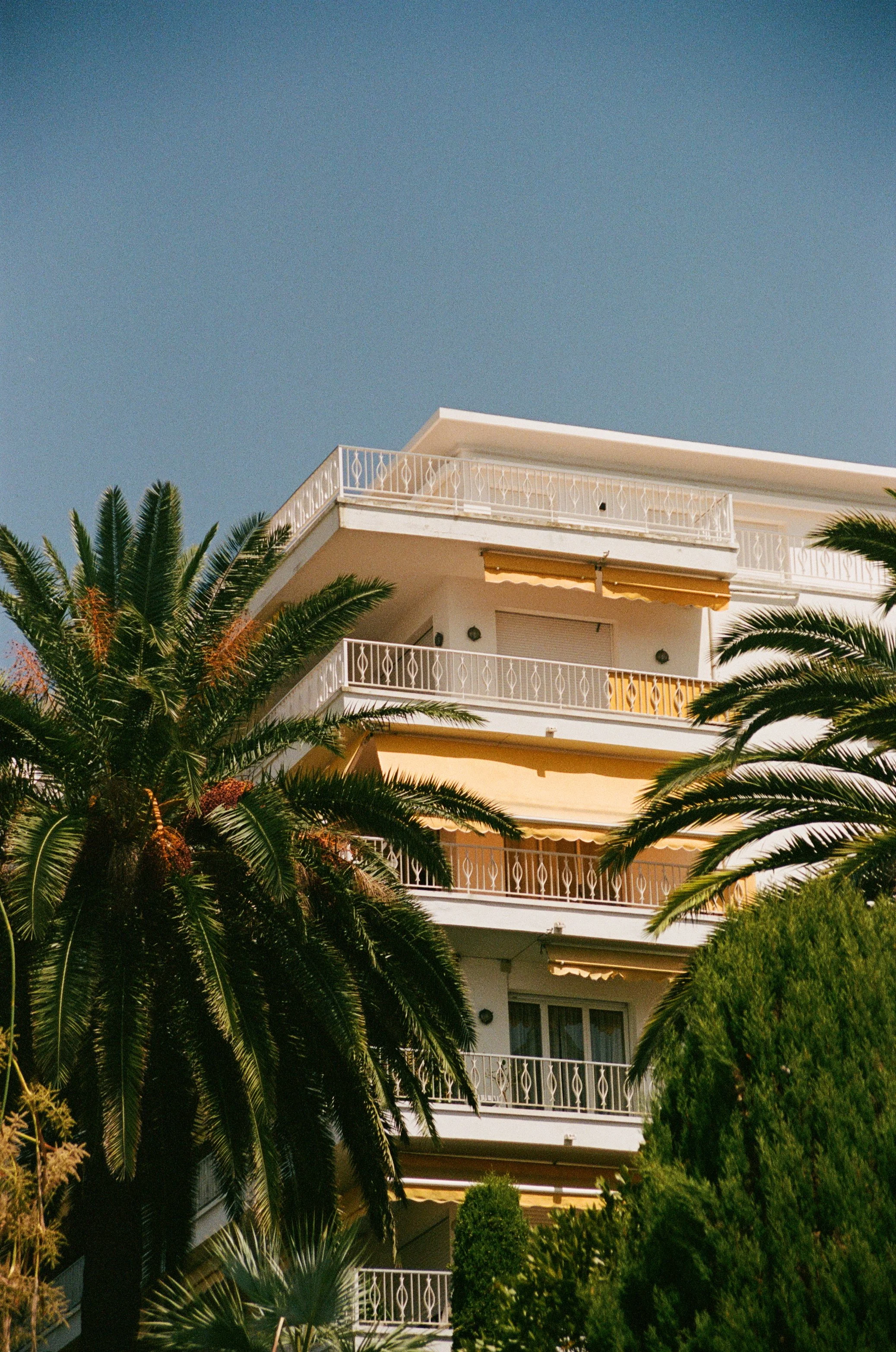 000002680029.jpg