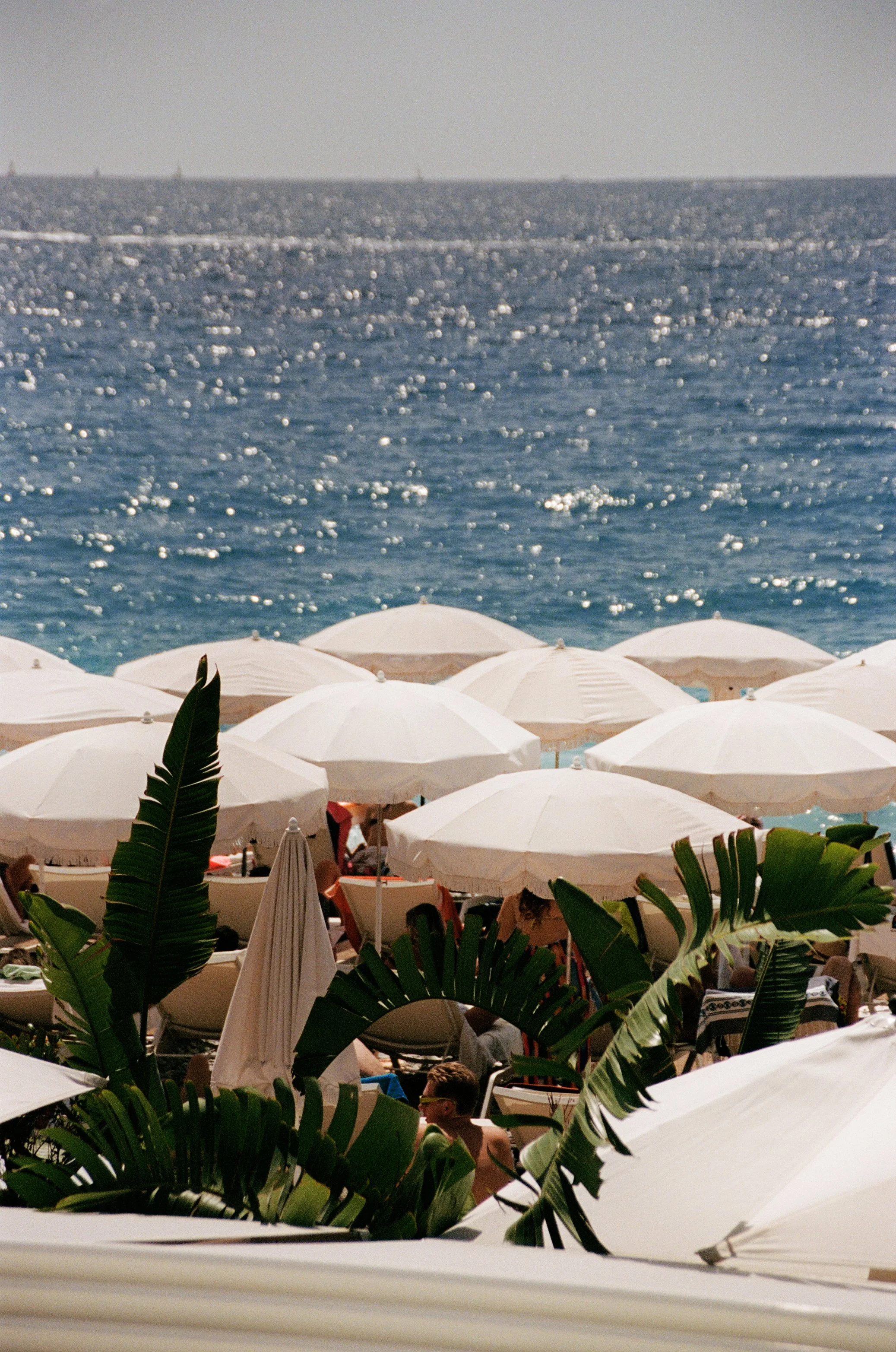 Cote d'Azure.jpg