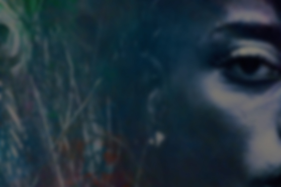 kiki_ver2_xlg_forWEB_v2.jpg
