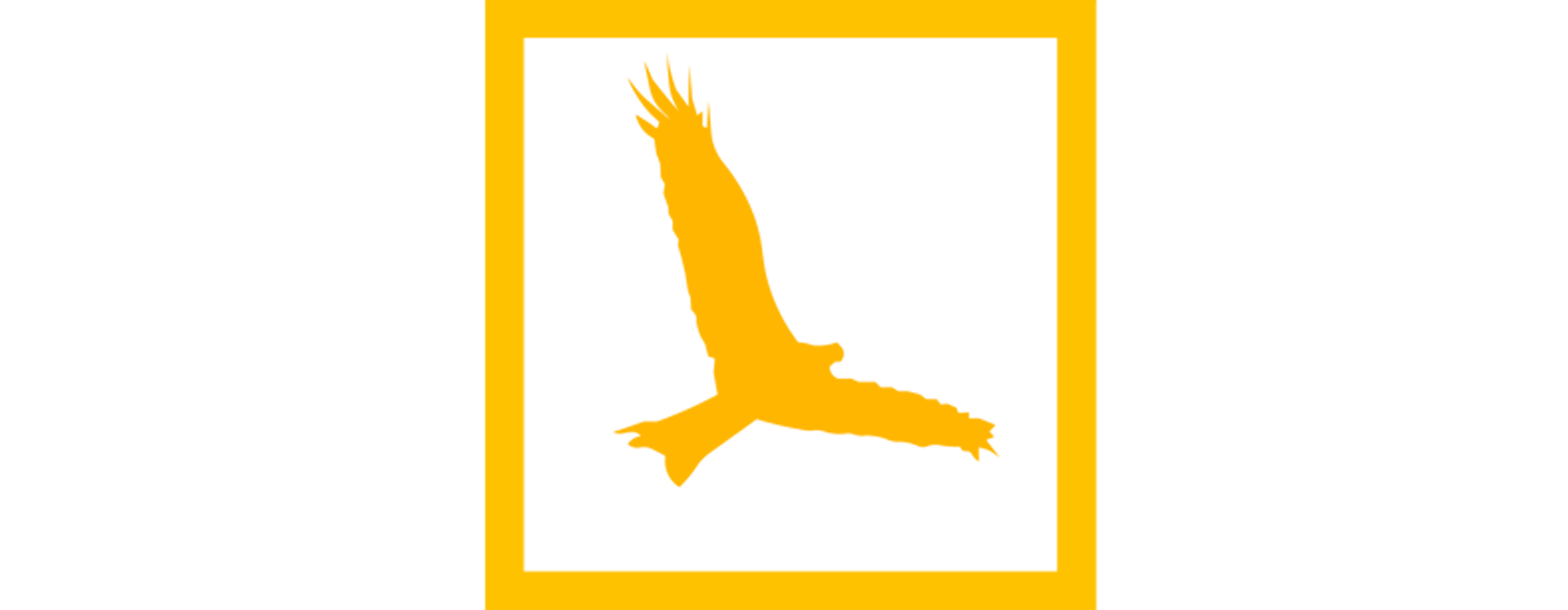 pajaro solo2.png
