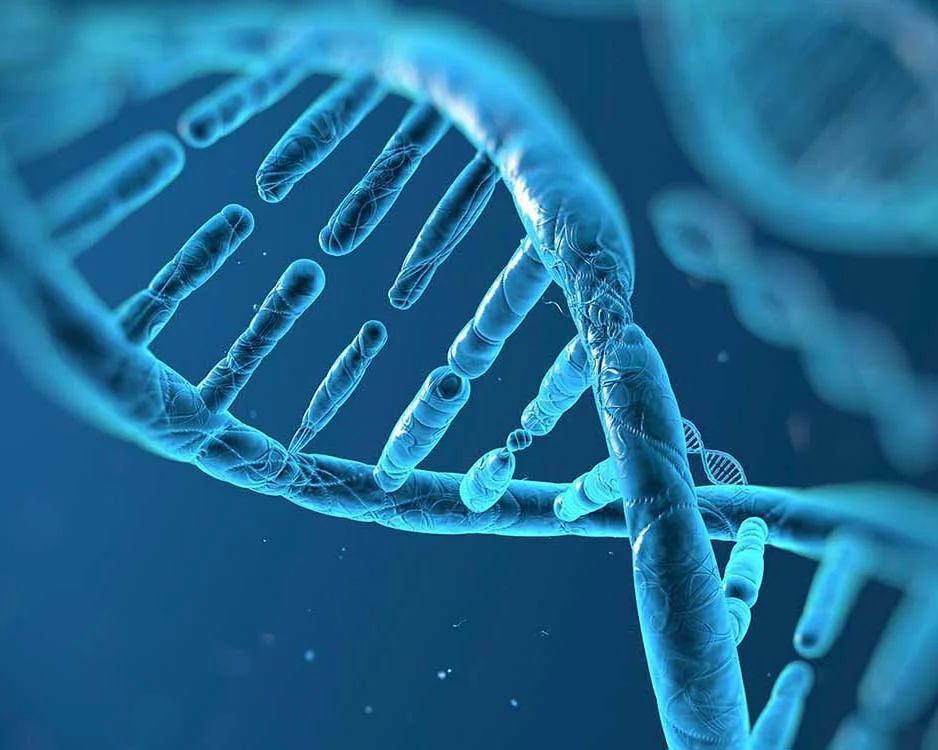 DNA.jpg