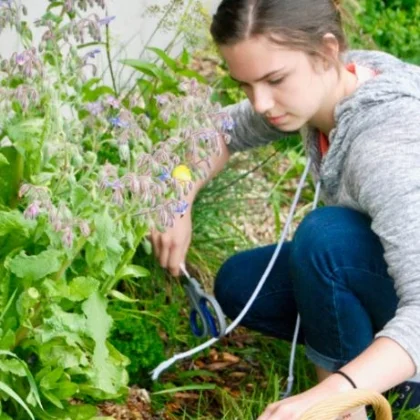 gardening-skills-2.jpg