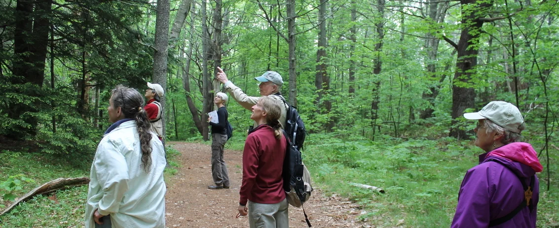 C.Cabot-Birding-at-ThorneHead-007.jpg
