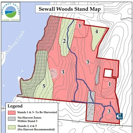 FMP-Stand-Map-Jan.-2017-001.jpg