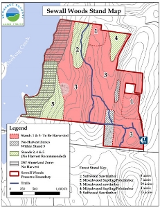 The Stand Map: Click HERE to view a PDF of the map
