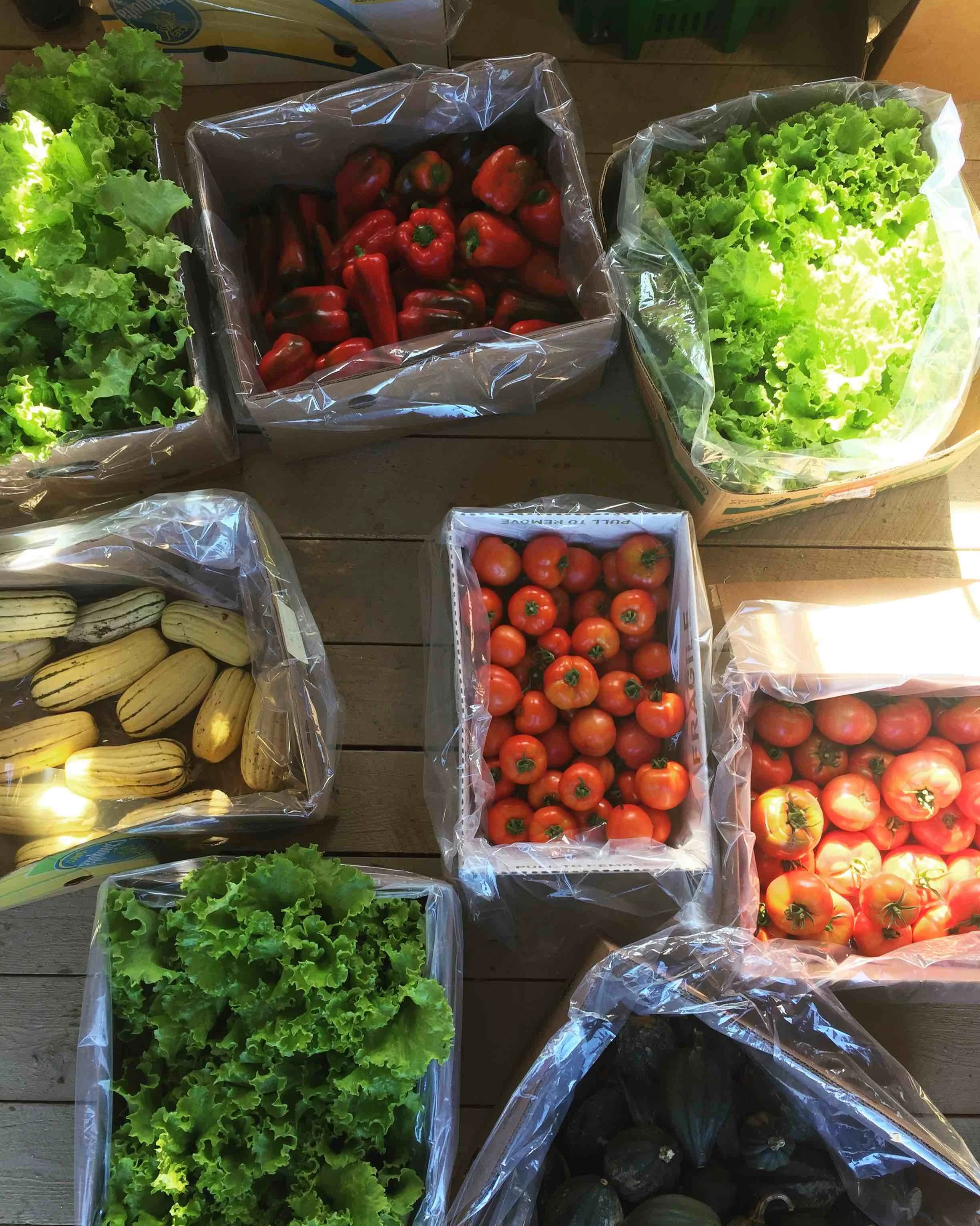 Photo: Merrymeeting Food Council