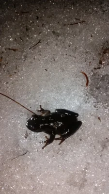 20150410_220532.jpg