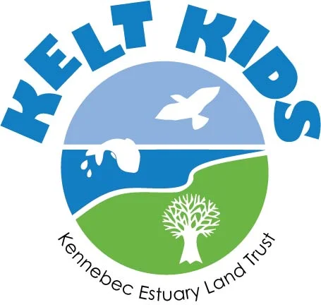 kid logo FINAL web.jpg