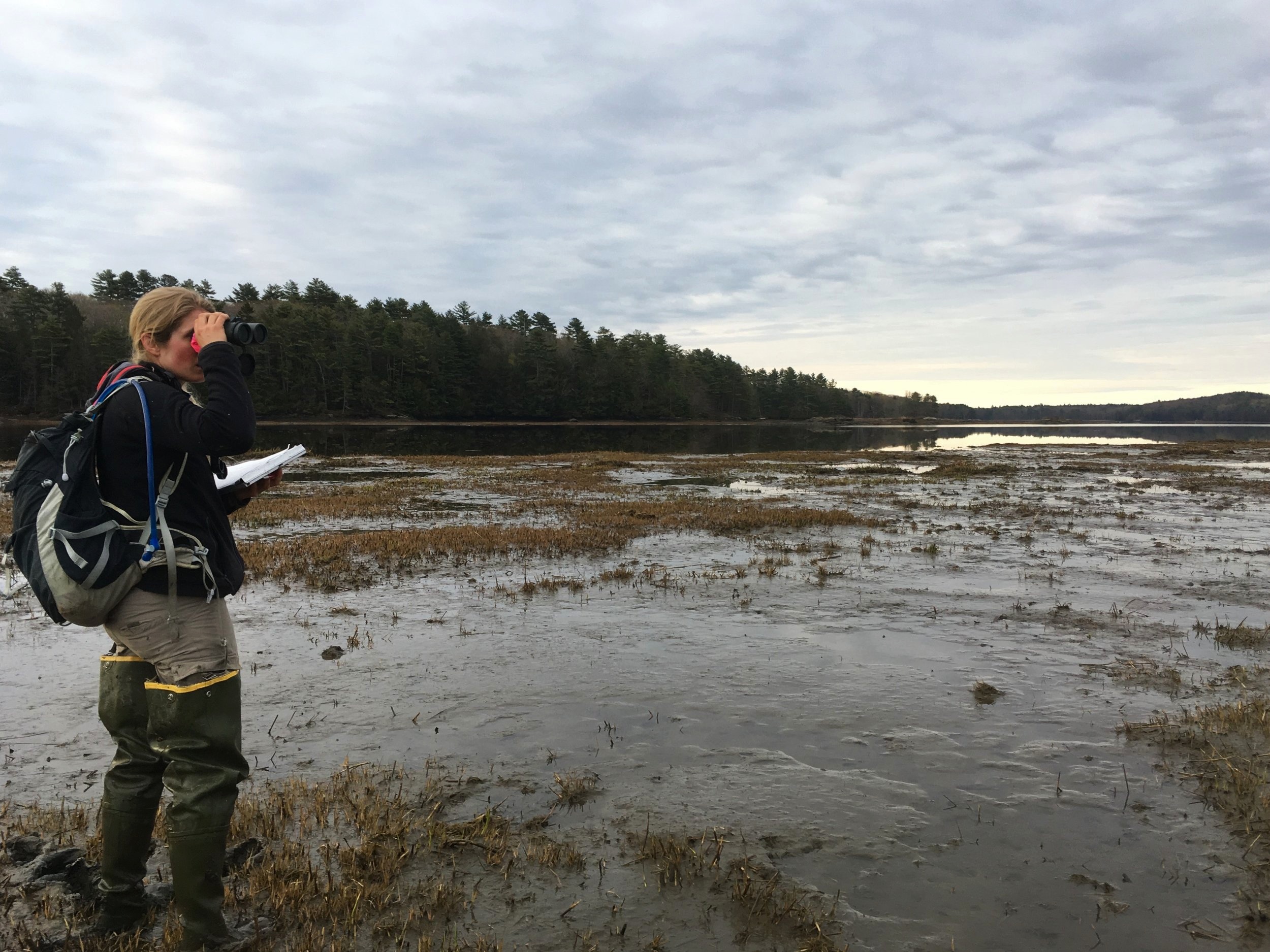 Kirstin Underwood scans the mudflats for birds.