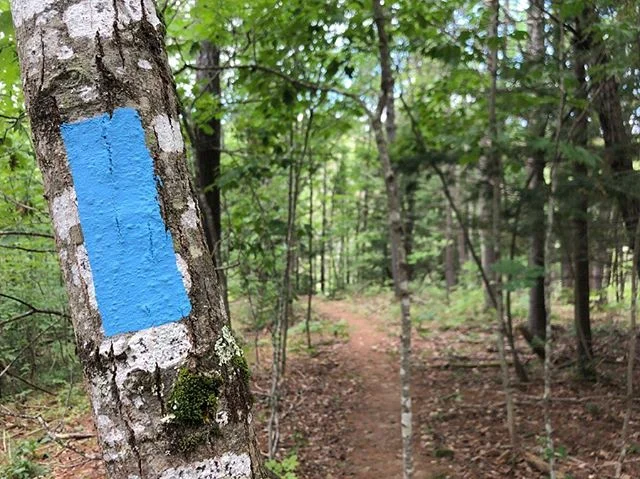 Blue blazes mark the trails along the way.