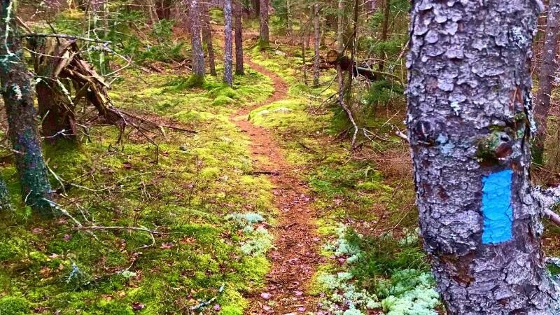 Visiting Trails During COVID