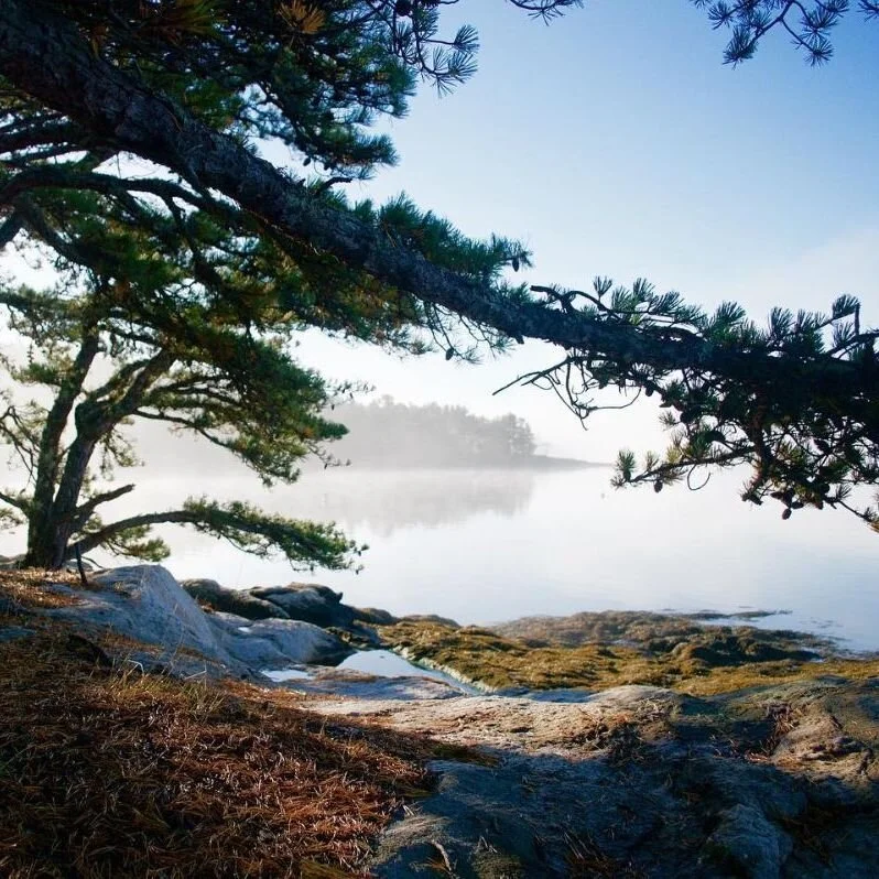 50 Years of Earth Day