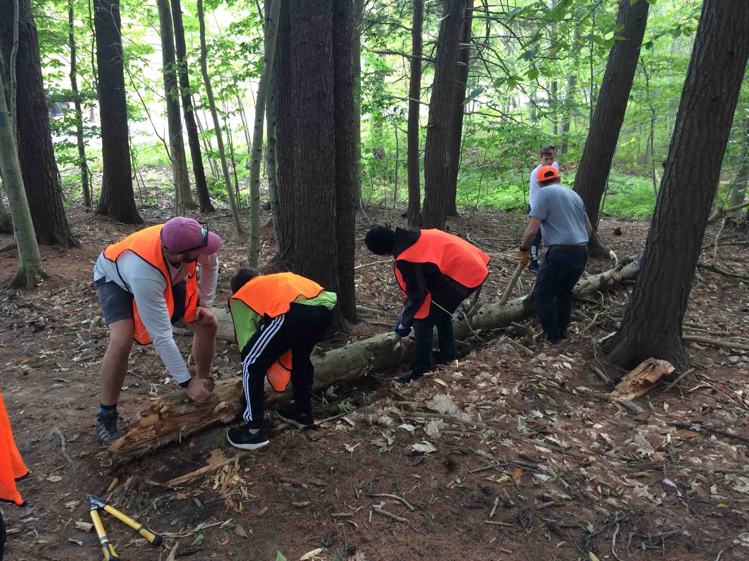  Bath Middle School students help to maintain a section of the Whiskeag Trail. 