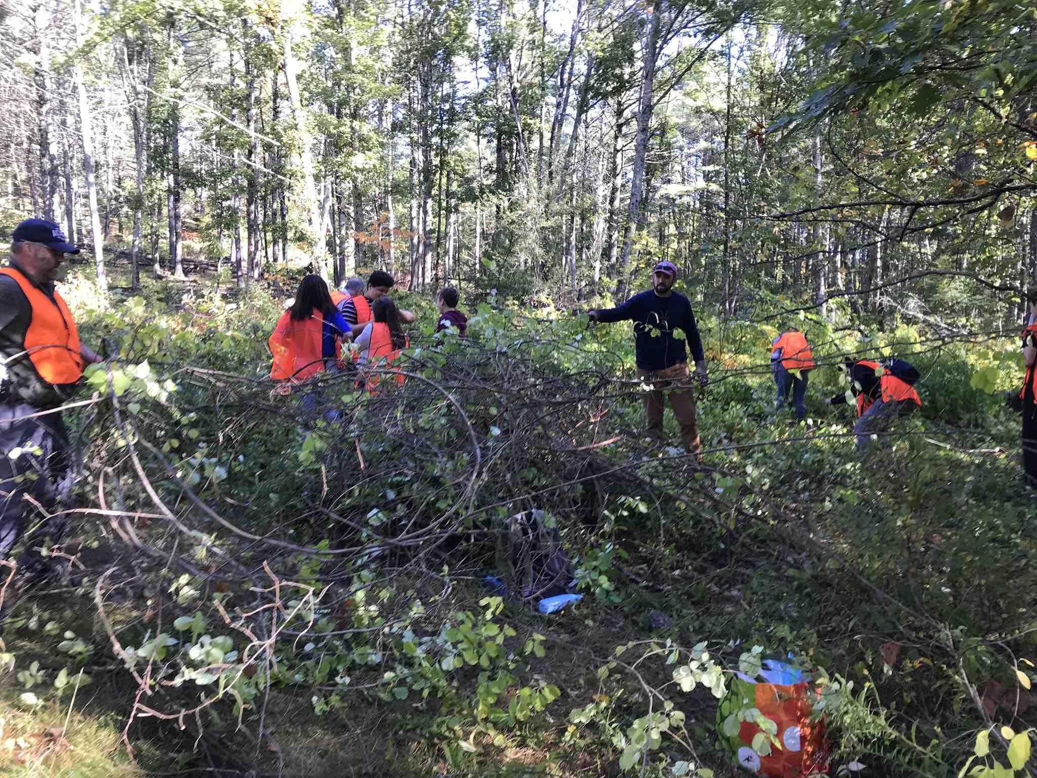  Bath Middle School students remove invasive plants at Sewall Woods Preserve. 