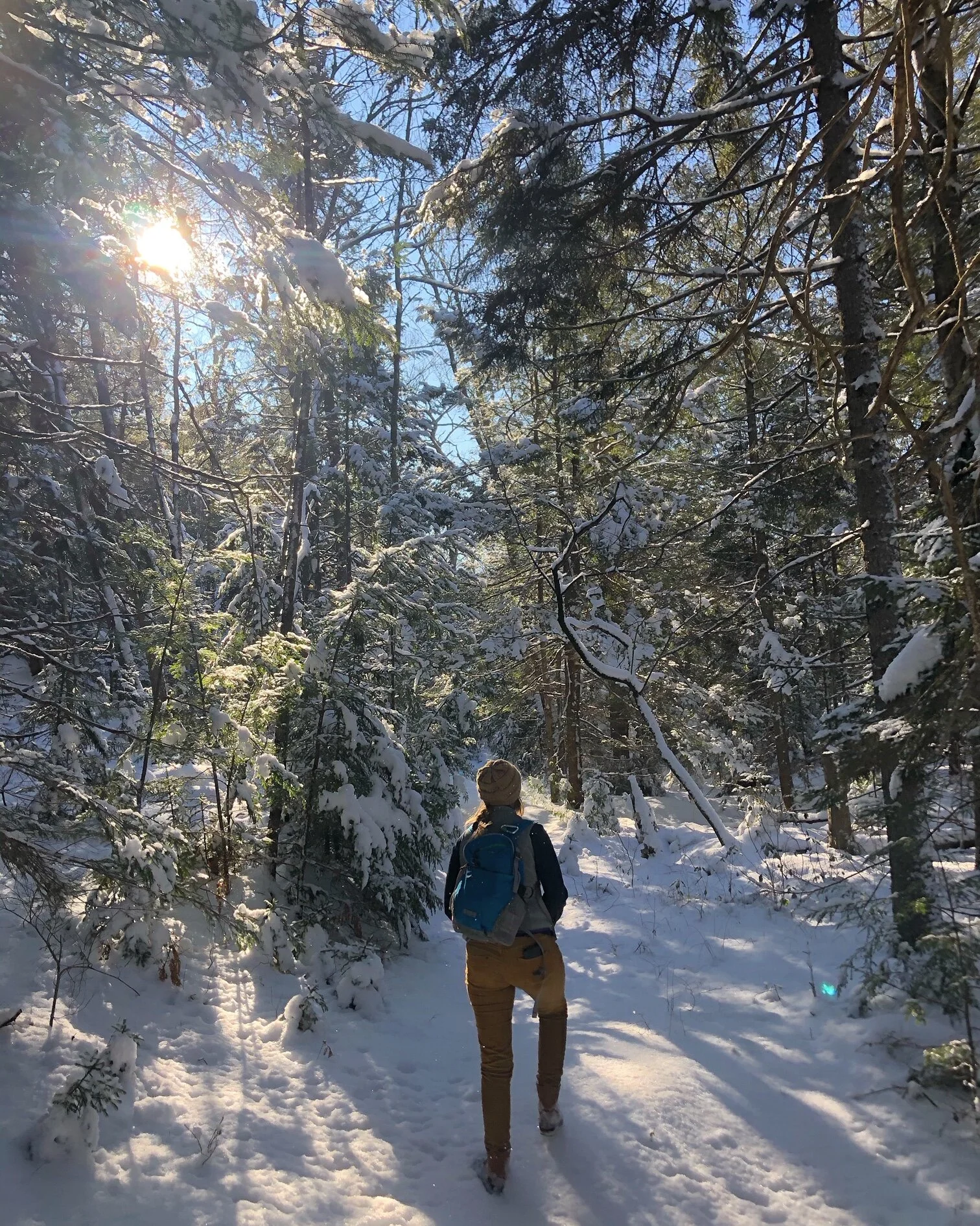 Enjoy the beauty of trails this winter! 