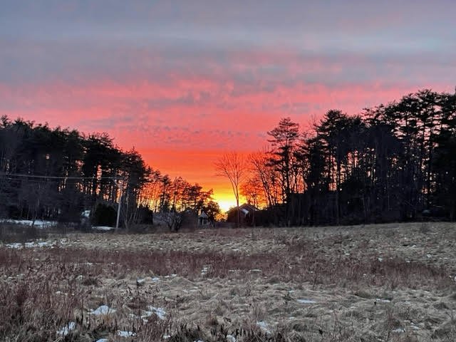 field sunset.jpg