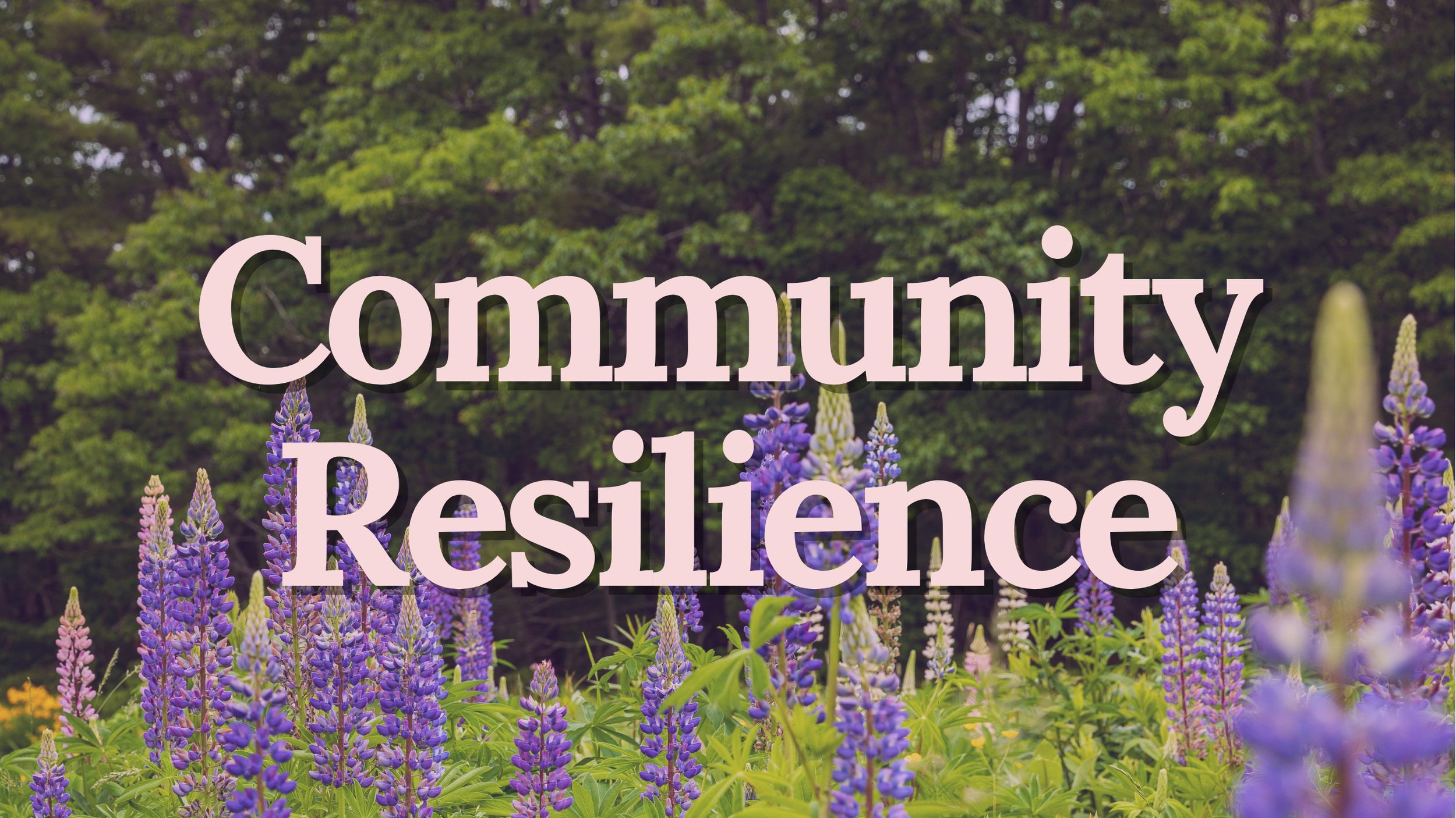 Community Resilience — Kennebec Estuary Land Trust