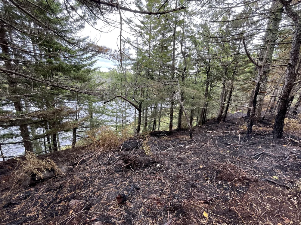 Wildfire at Morse Pond Preserve — Kennebec Estuary Land Trust