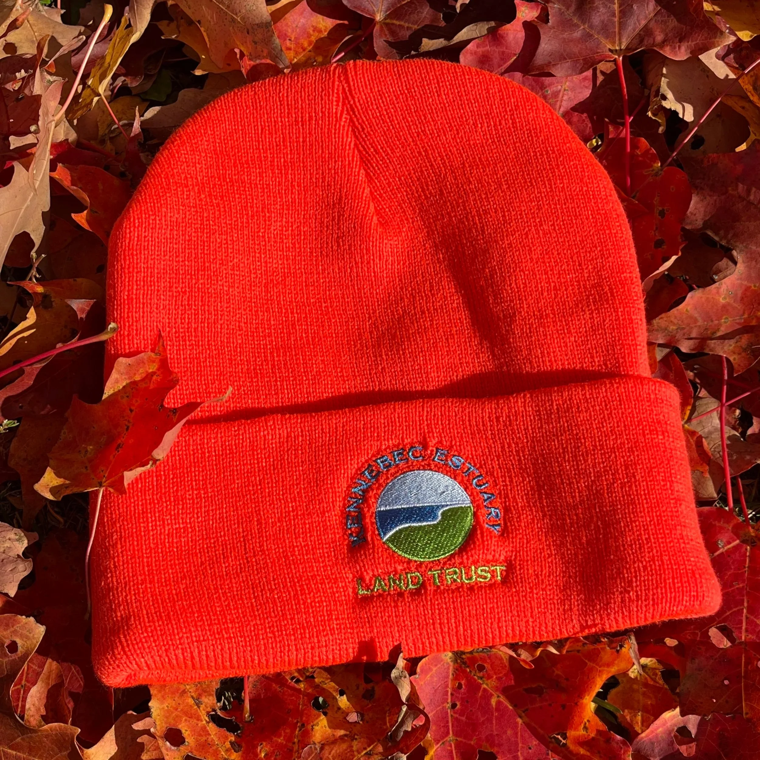 Blaze Orange Beanie