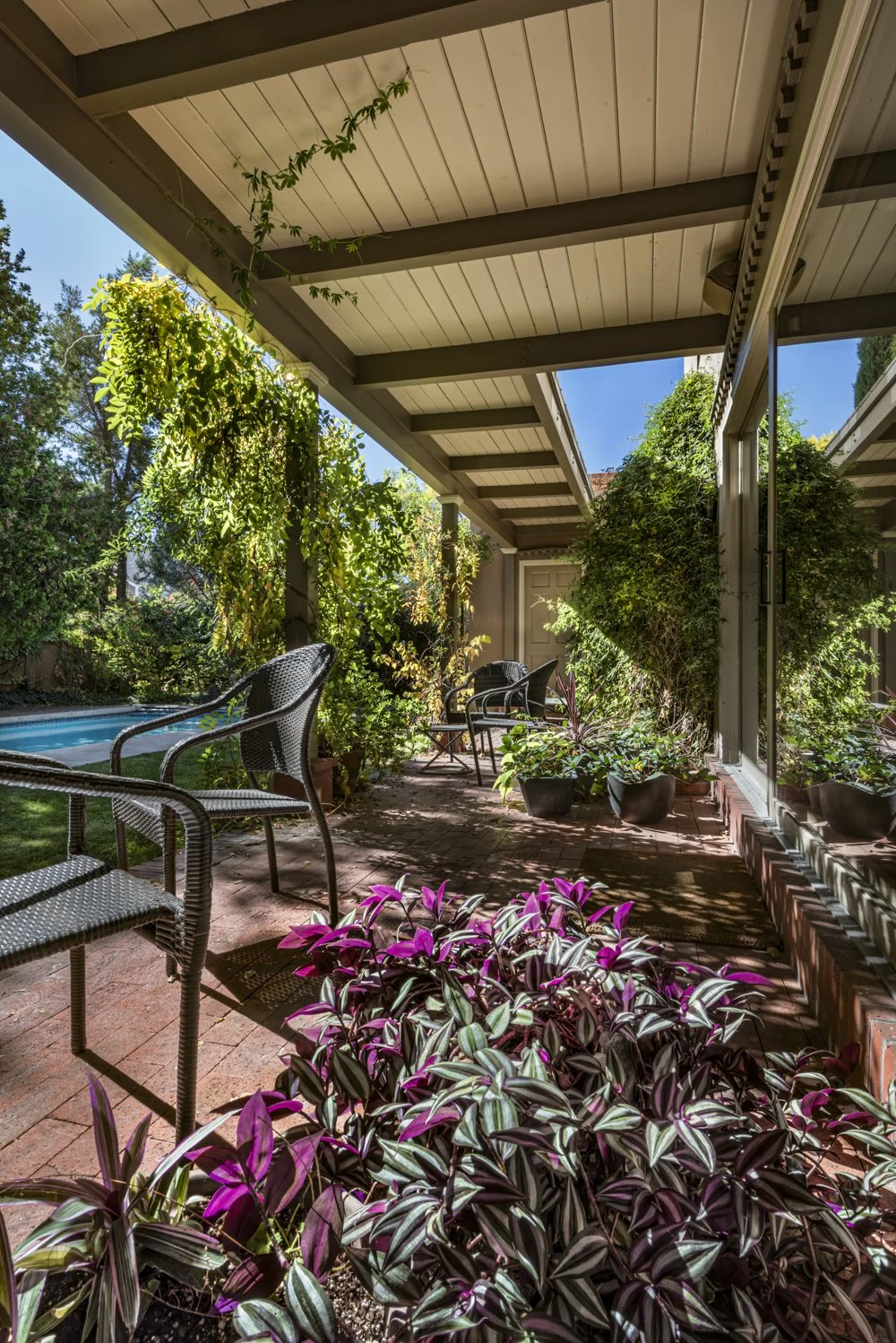 Patio Floral.jpg