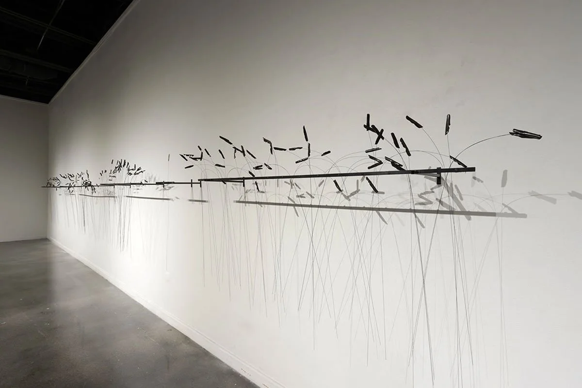 Grasslands Tall Grass