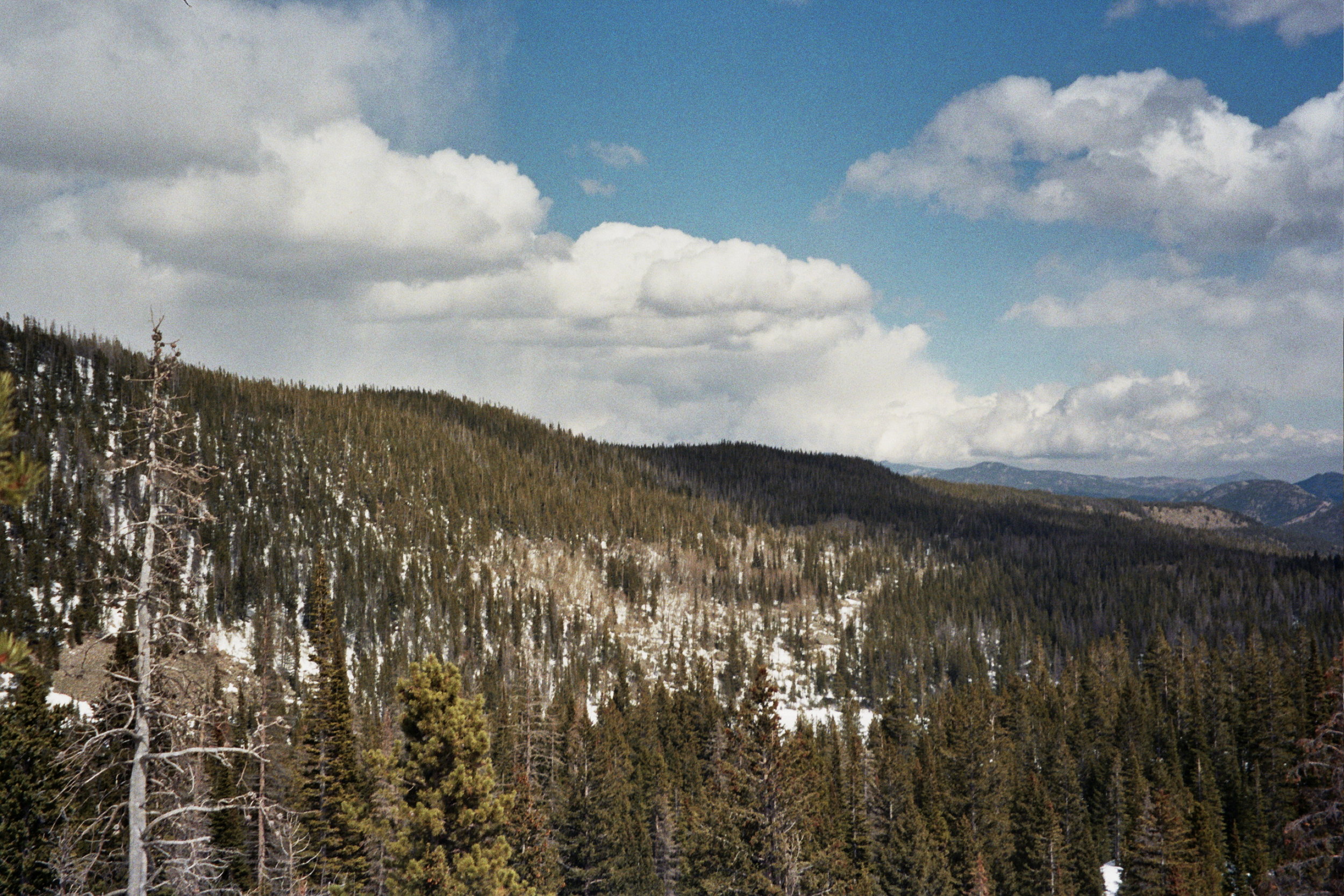 _4A_0097.jpg