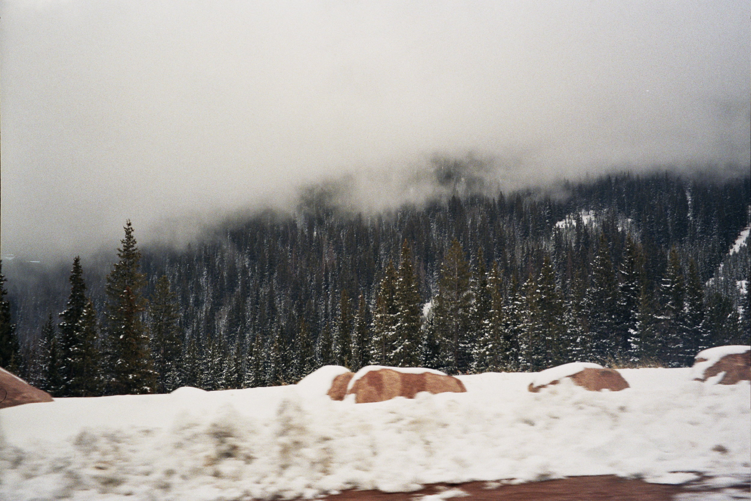 __8_0191.jpg