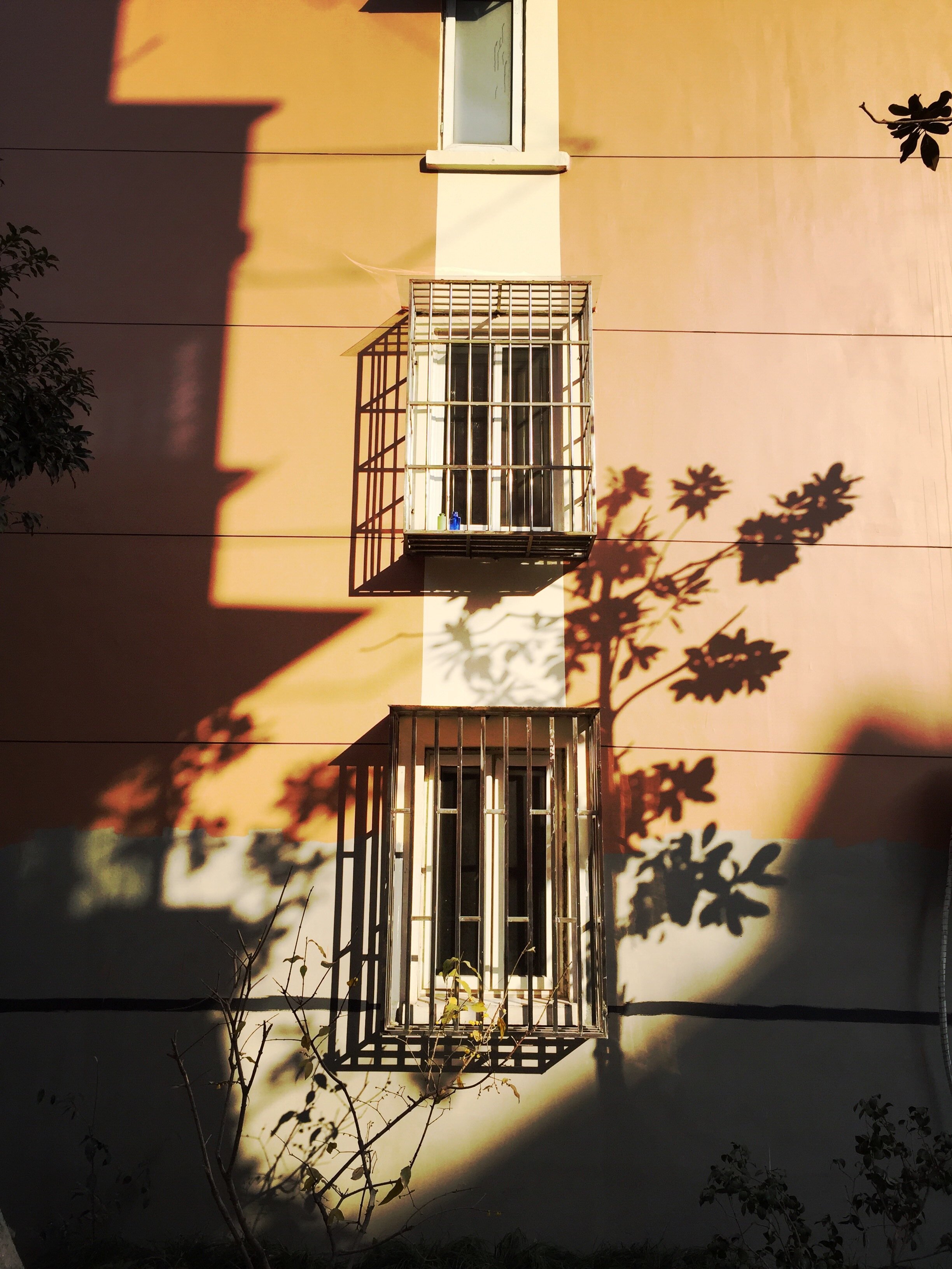D64E1350-8463-4082-8B63-1D20F6E8297F.jpeg