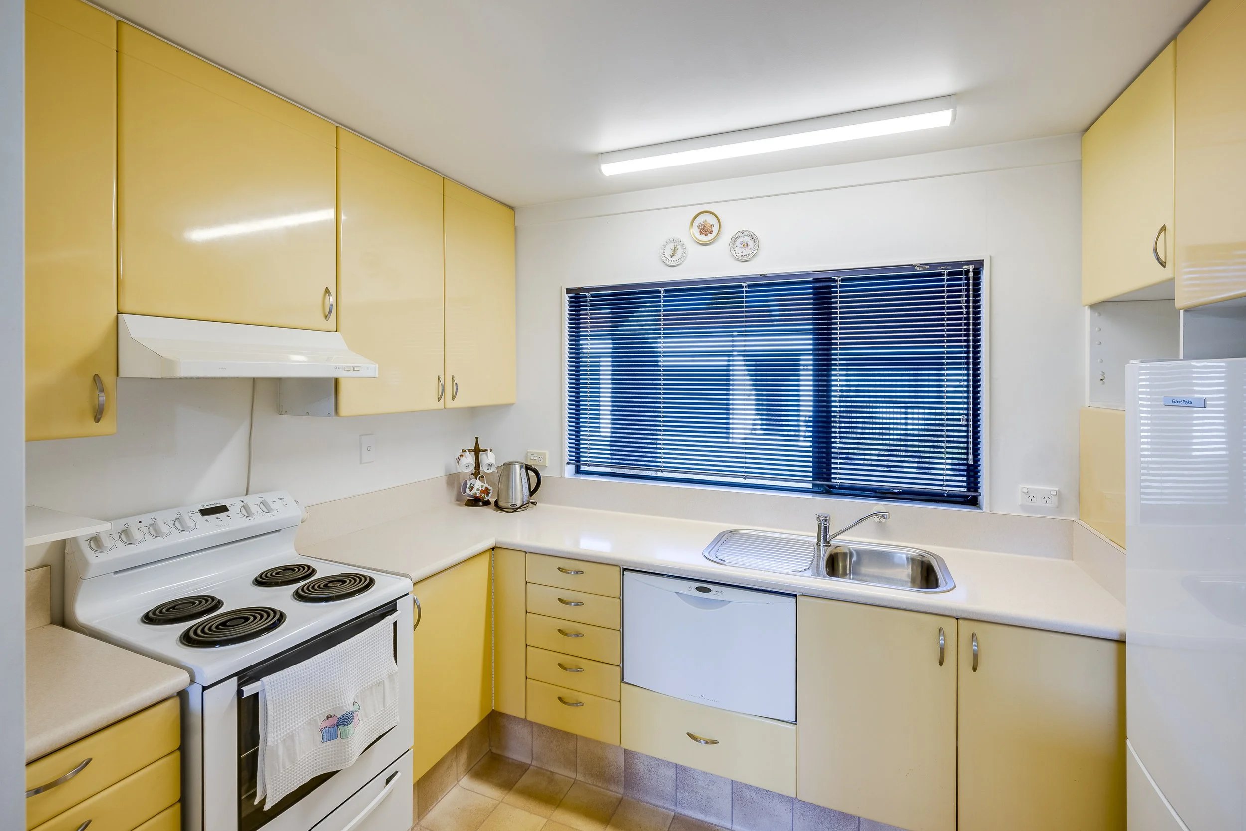 Jan Mackie 5/1004 Waipuna Street, Mahora, Hastings 4122, Hawke’s Bay
