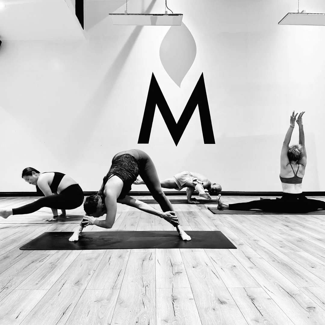 Strength. Grace. Expression. ✨
Our community is what makes MPower Yoga so special &mdash; a space where students and teachers alike can explore mindful movement and celebrate what their bodies can do.

From powerful arm balances to deep, soul-opening