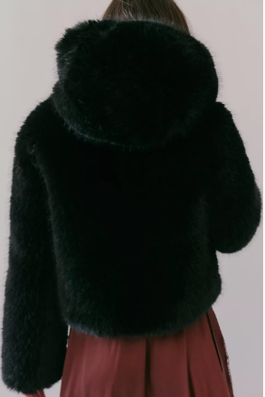 Screen Shot 2025-12-04 at 3.34.56 PM.png