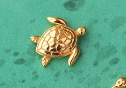 Screen Shot 2026-03-03 at 7.07.37 PM.png