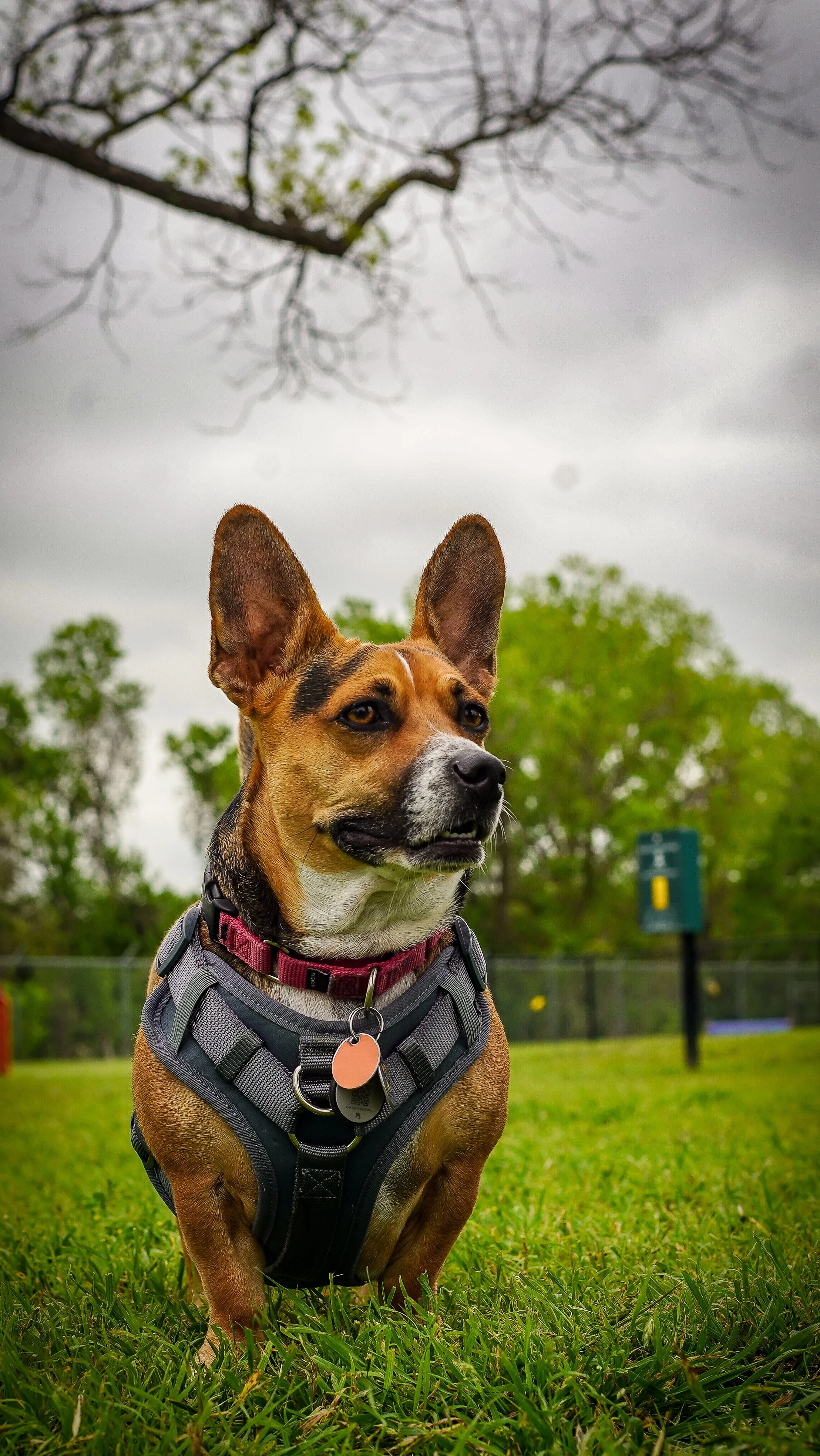 3.30.24 Meet Up-25.jpg