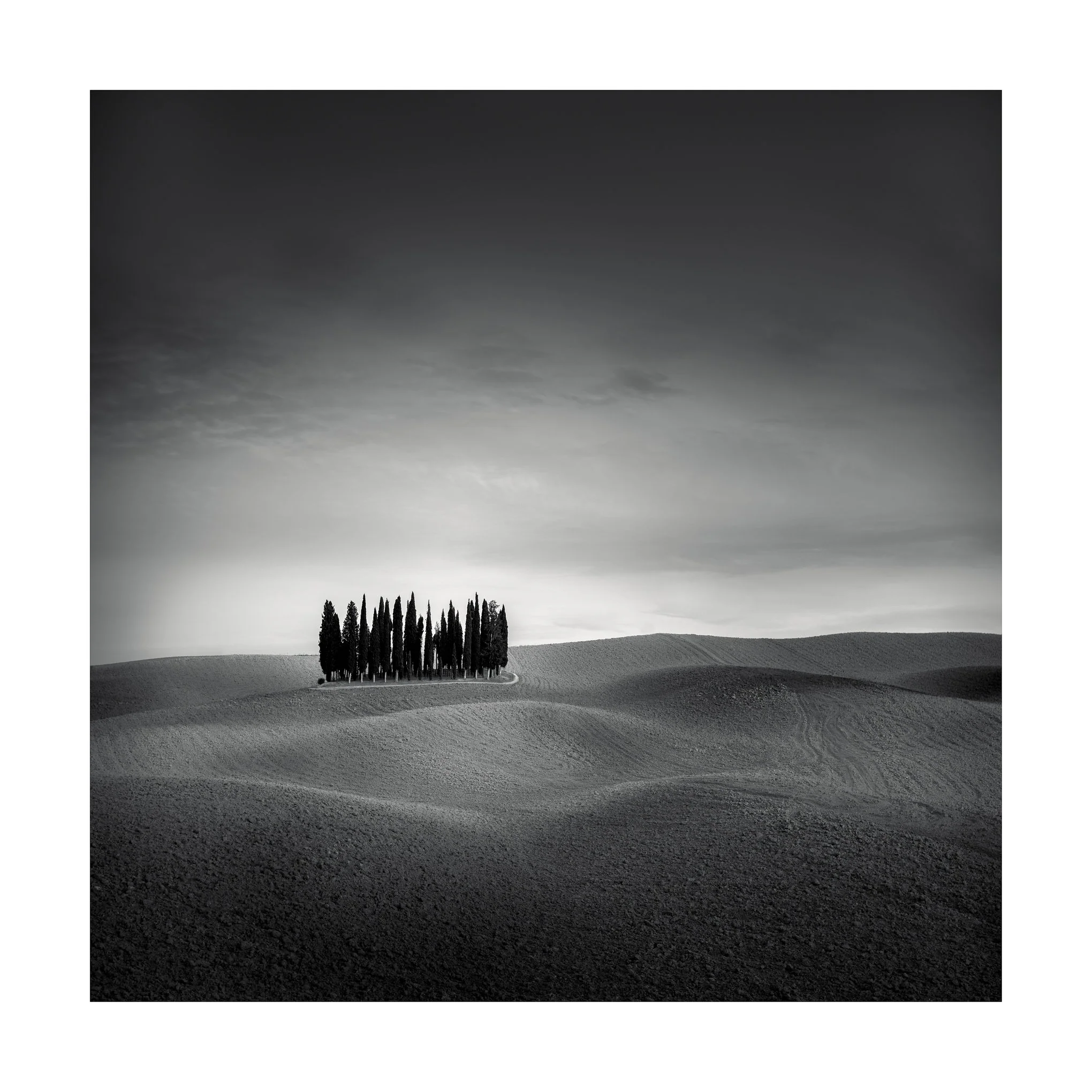 San Quirico d' Orcia Study 111