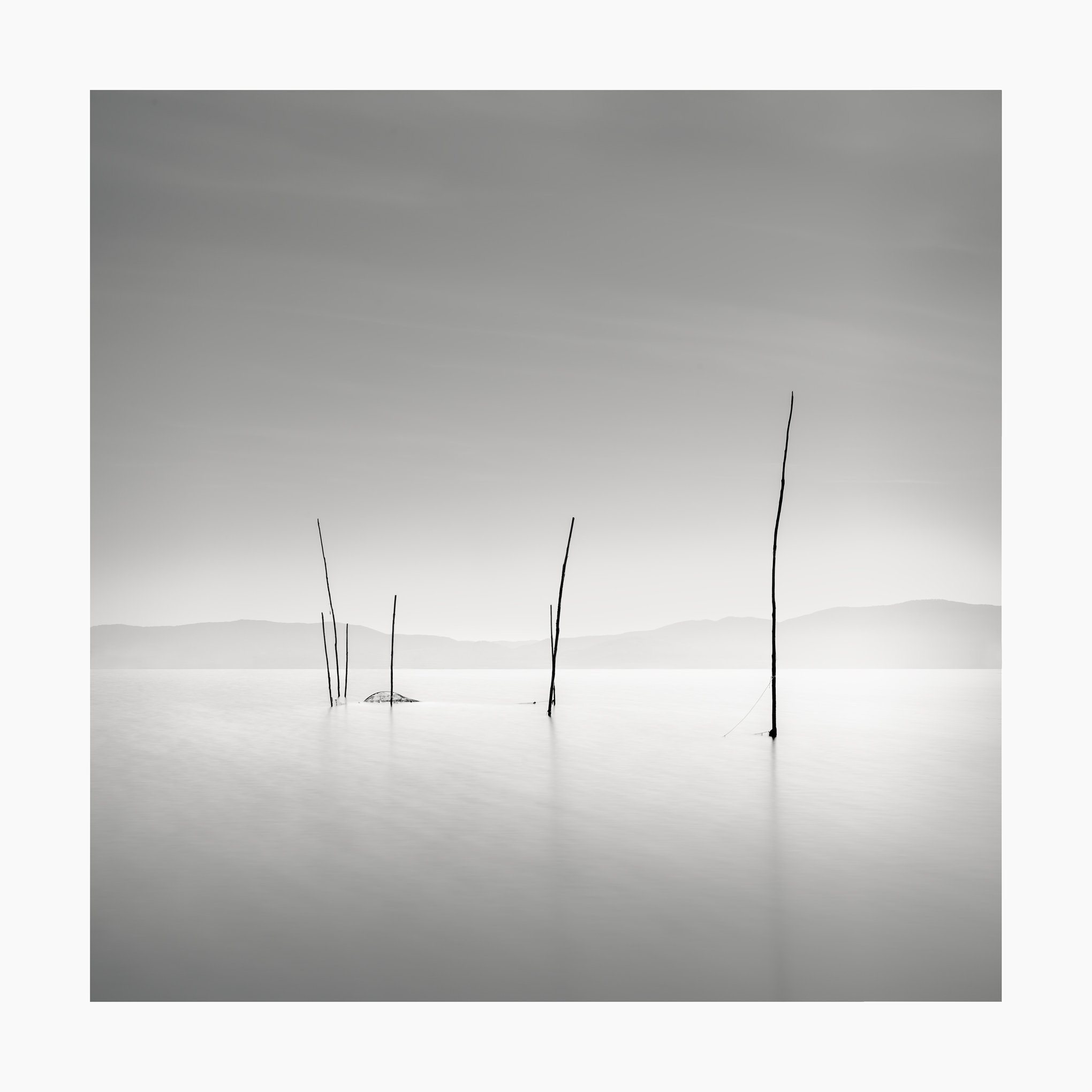 Beautiful Disorder Study 1