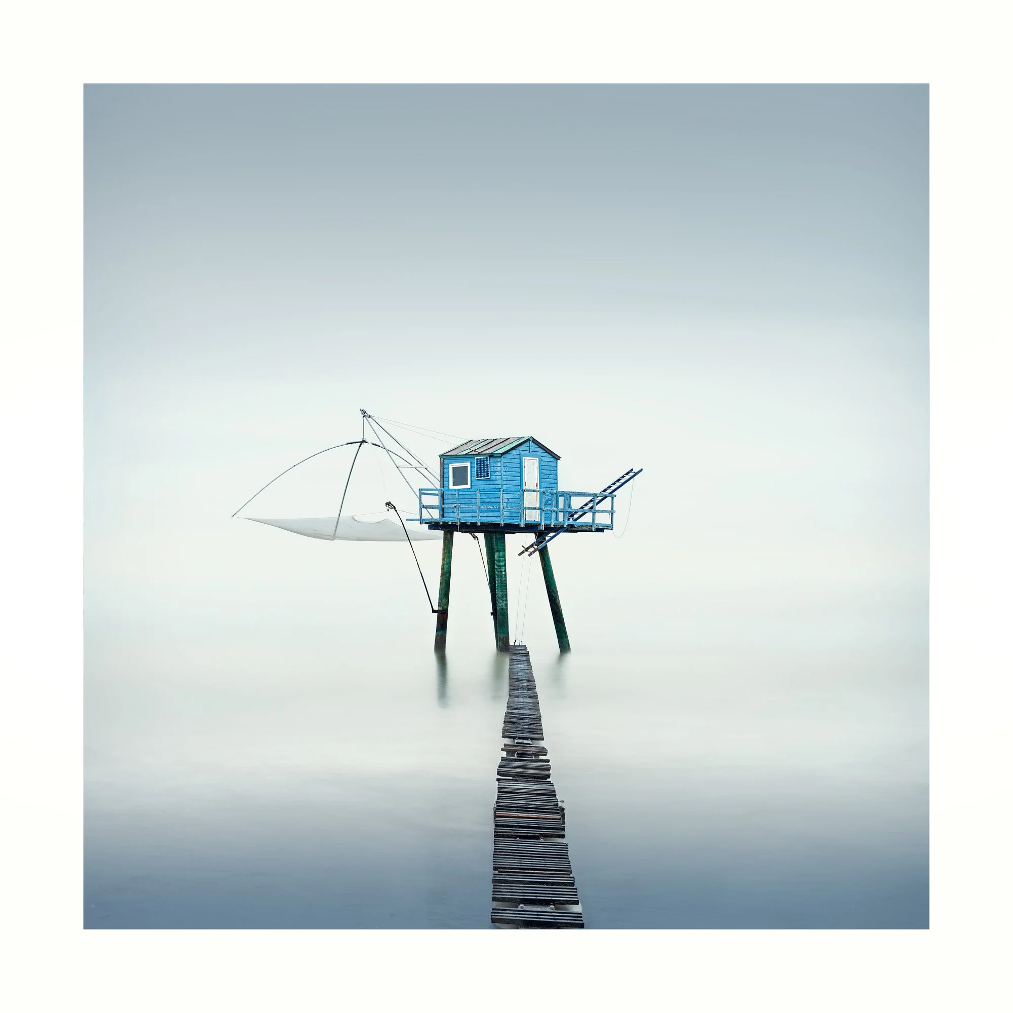 Resplendent in Blue study 2