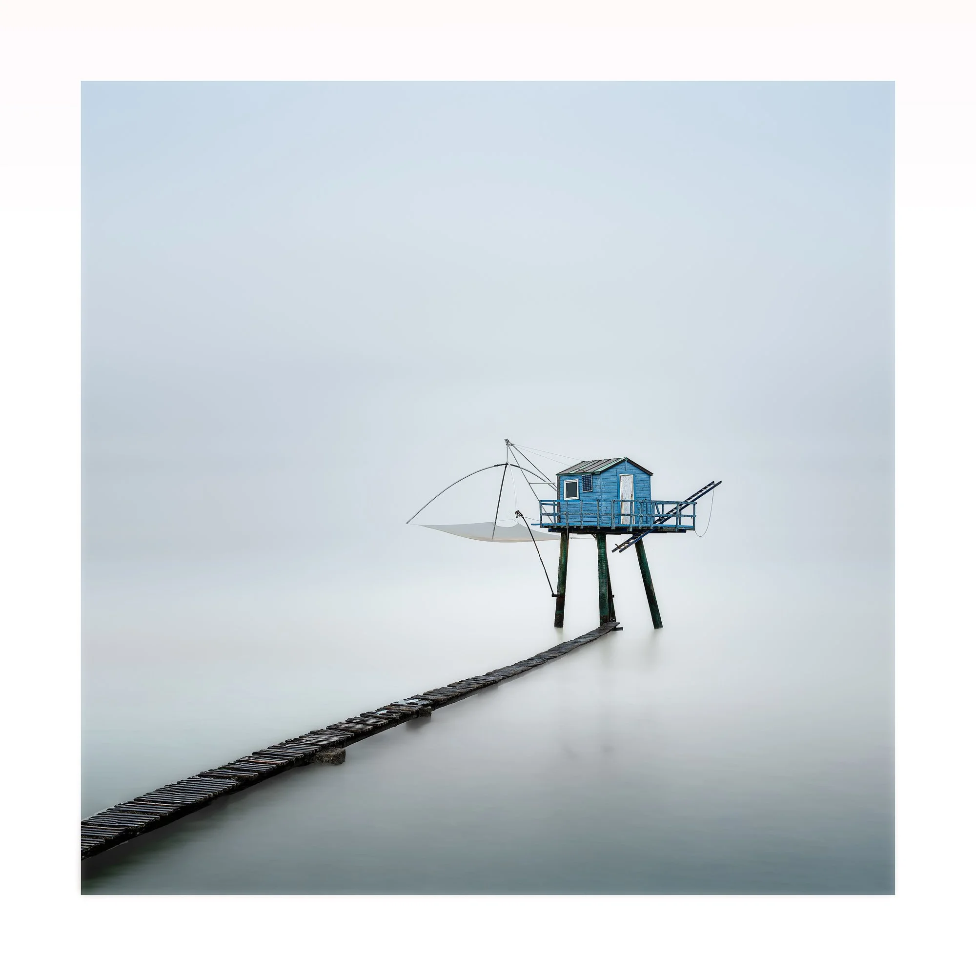 Resplendent in Blue study 5