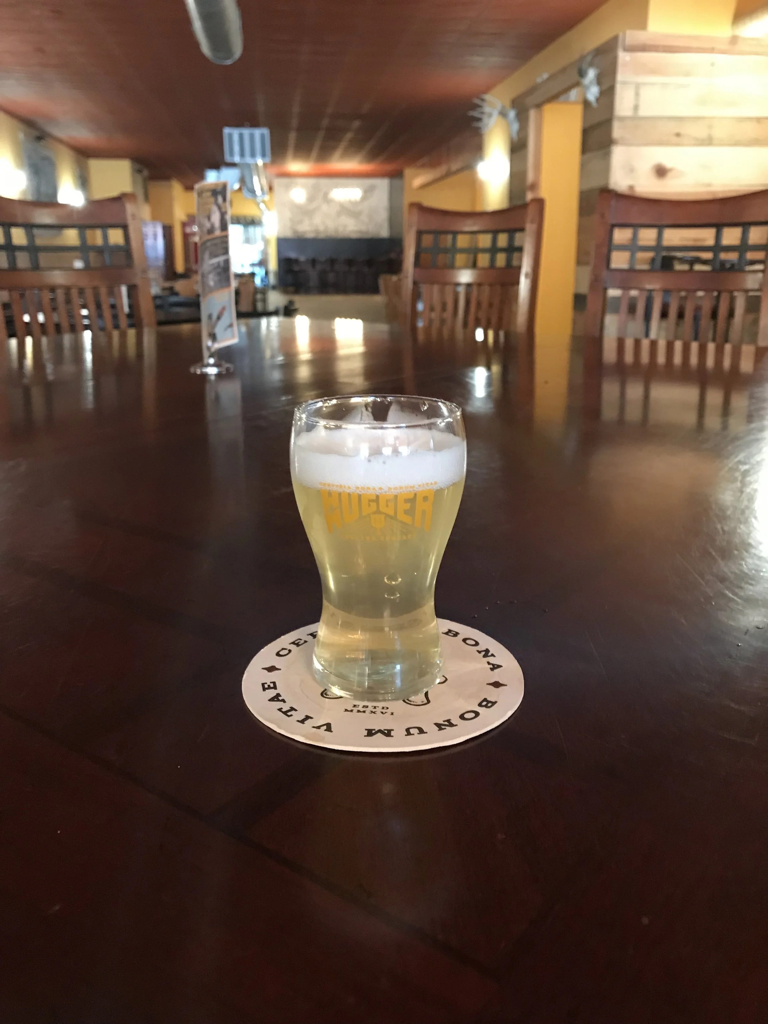 Hugger Mugger Mini Pub Glass