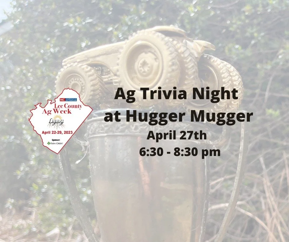 AG Trivia Night