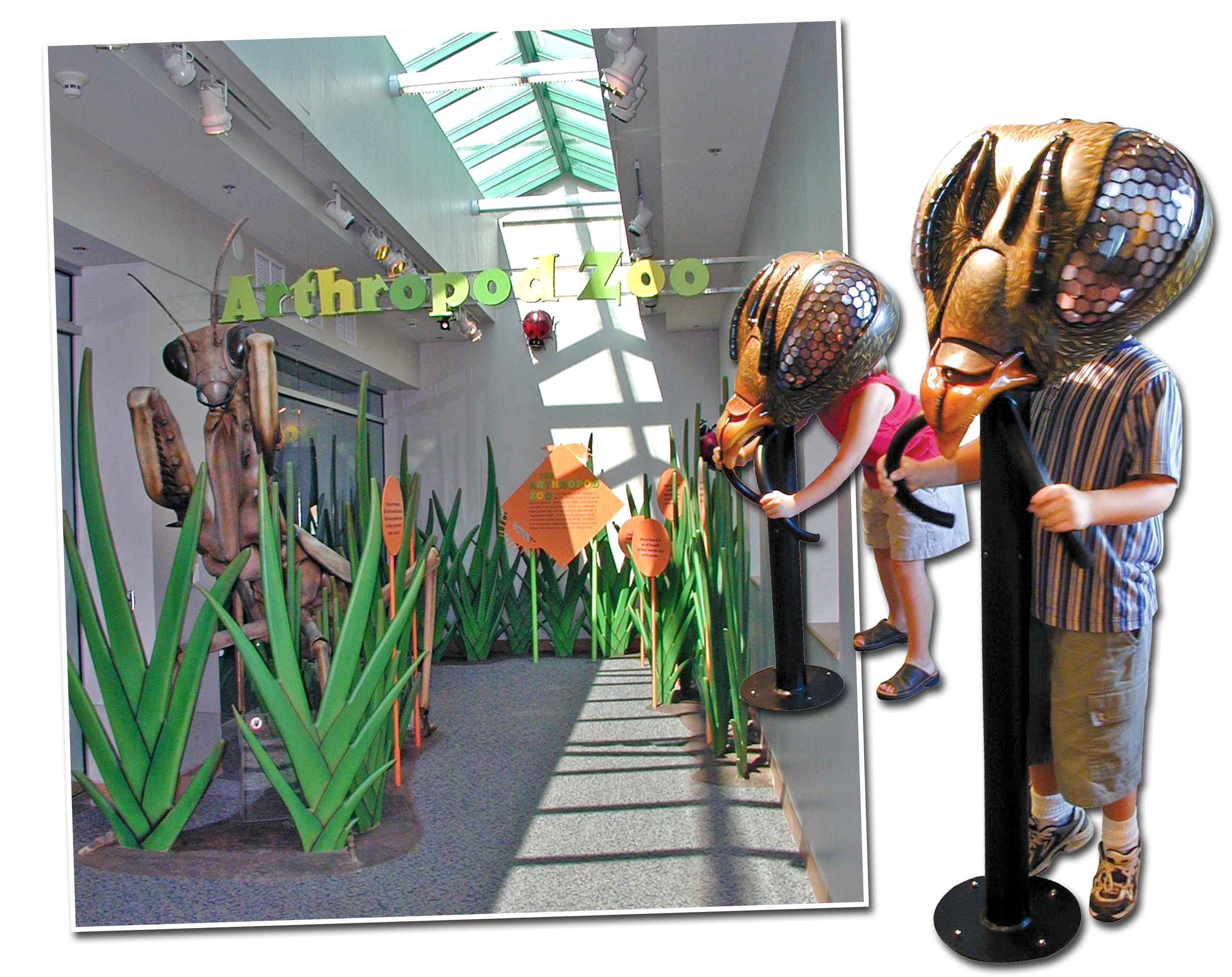 North Carolina State Museum of Natural Sciences • Raleigh, North Carolina