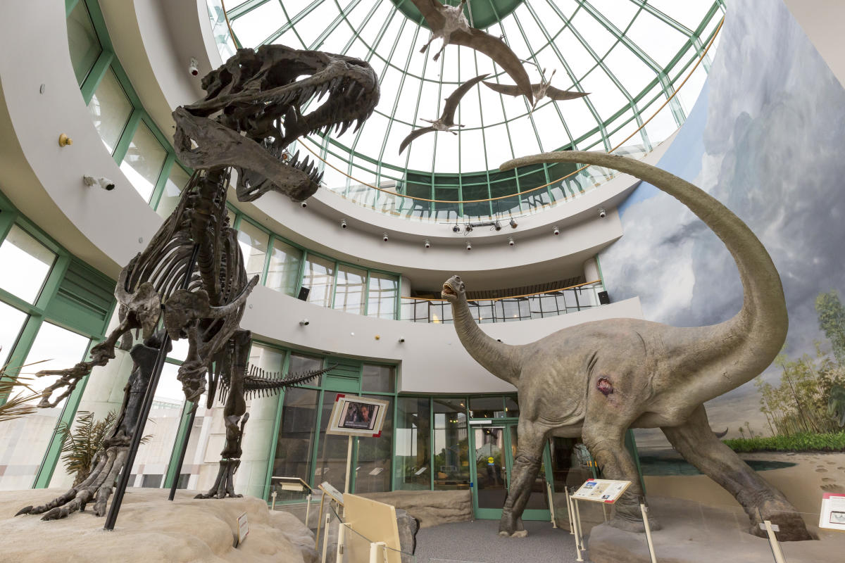 N_C_Museum_of_Natural_Sciences_credit_Karen_Swain_29_197861aa-ecf4-4352-95c1-ebe1a0a2c751.jpg