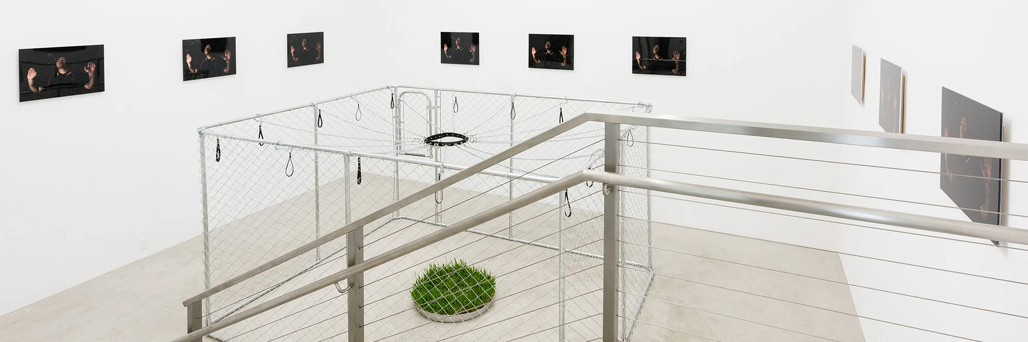 DOGS OF THE WORLD UNITE! (…THE ONLY PLACE TO SPIT) OR WHY MUST I FEEL LIKE THIS? | Juan Capistran | Sep 12 – Oct 17, 2015 | press release