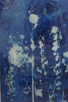 Stars and Constellations III (sunflowers).jpg