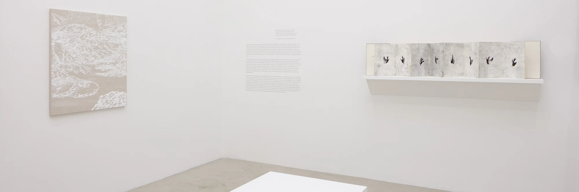 NO PERMANENCE IS OURS | Jane Brucker, Park Chel Ho | Jan 5 — Feb 2, 2019 | press release | catalogue